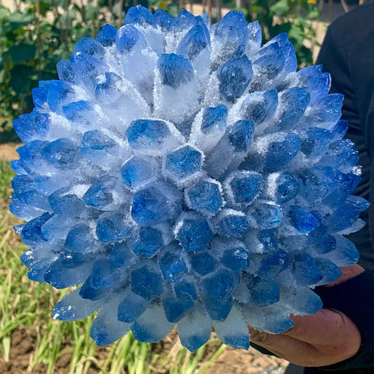 Beautiful Blue Phantom Quartz Crystal Cluster Specimen Cured healing